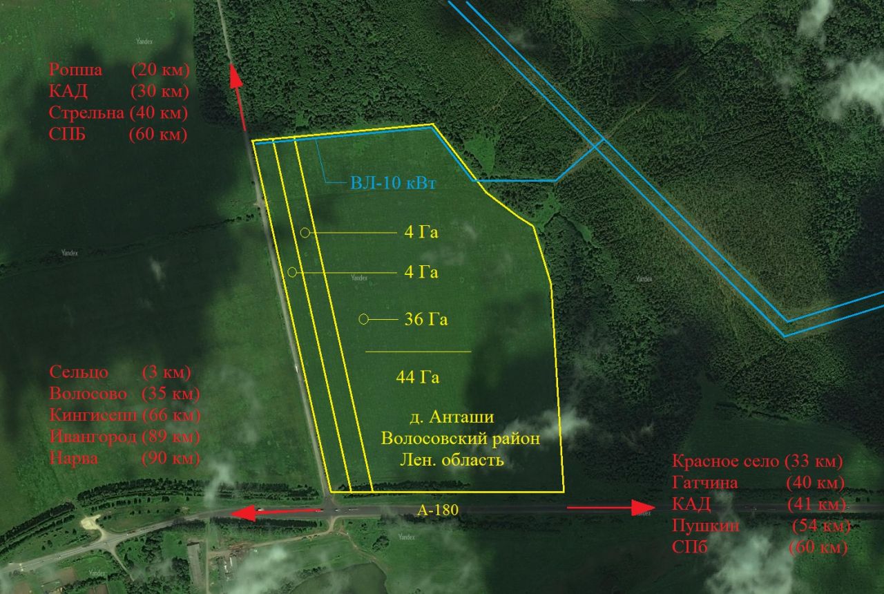 44 гектара. Д Анташи Волосовского района. Участки земли деревни Анташи Волосовского района лен обл. Анташи Ленинградская область озеро. Анташи Волосовский район рыбалка.